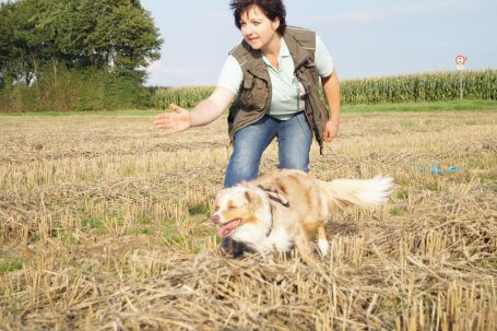 Margarete Yen und Hund trainieren auf Strohfeld in Erkelenz