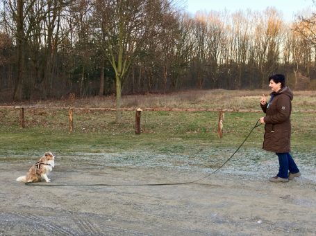 Margarete Yen in braunem Mantel und Jeans hält Hund an der Leine auf einem Kiesweg