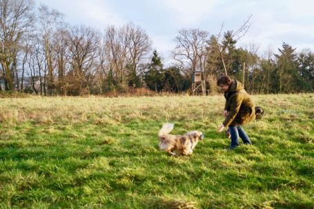 Margarete Yen trainiert mit Hund und auf einer Wiese in Wassenberg