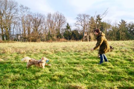 Margarete trainiert mit Hund und Dummy auf einer Wiese in Wassenberg