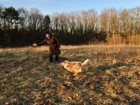 Hundeschultraining in Erkelenz auf Wiese