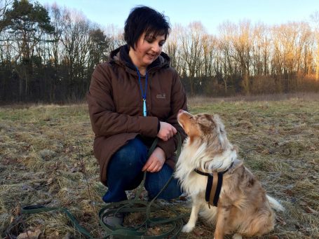 Person kniet auf Gras neben einem Hund mit schwarzem Geschirr