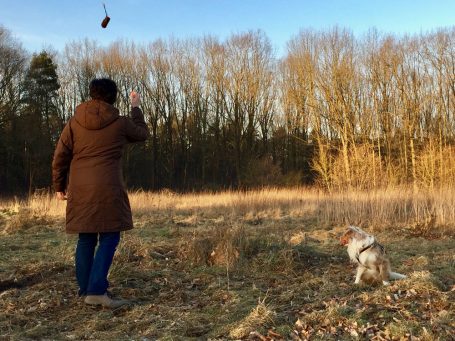 Hundetrainer wirft Dummy in die Luft und Hund schaut zu