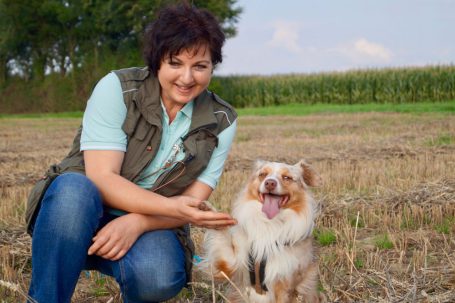 Person gibt einen Hund die Hand in einem offenen Feld